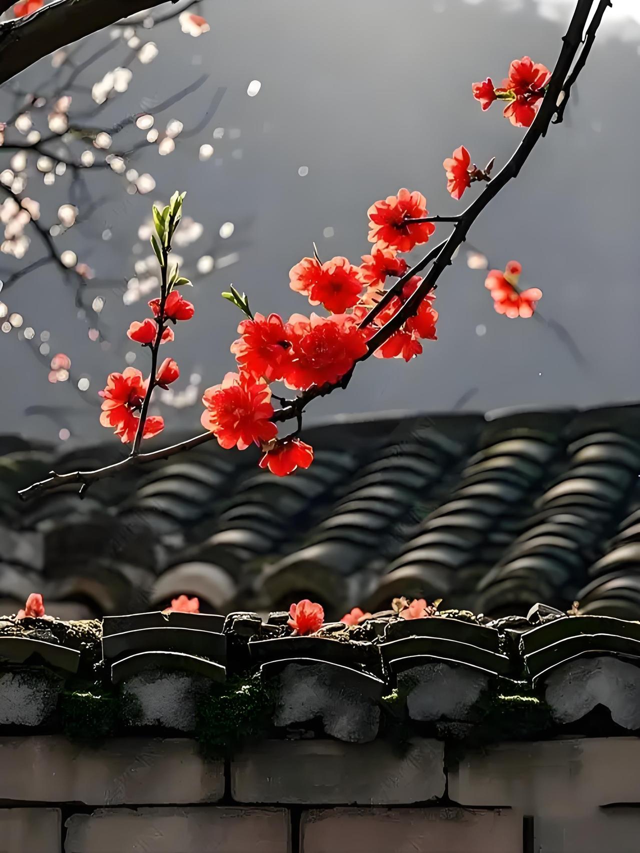 邻家小哥外地忙，
院中红杏又出墙，
问君花儿美不美，
………请友续句………？
