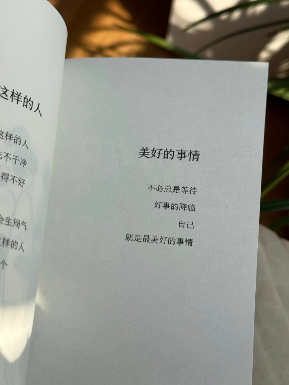 太太太治愈了！！“我要散步、吹风、看日落~” 