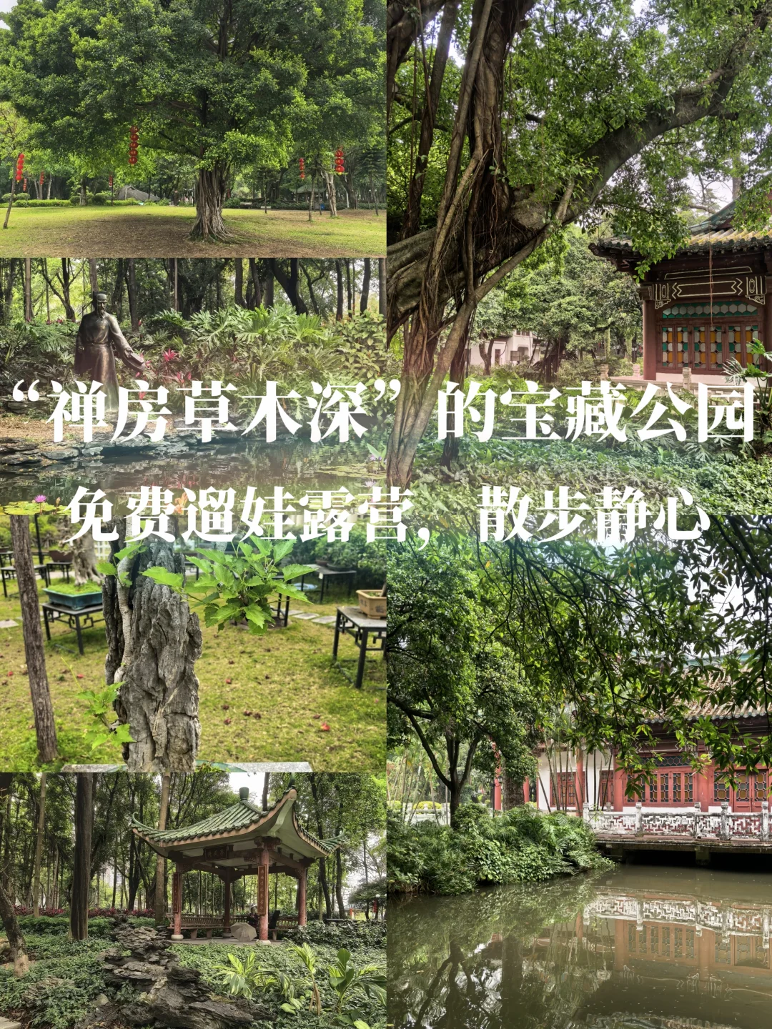 广州“禅房草木深”的宝藏公园，免费遛娃露