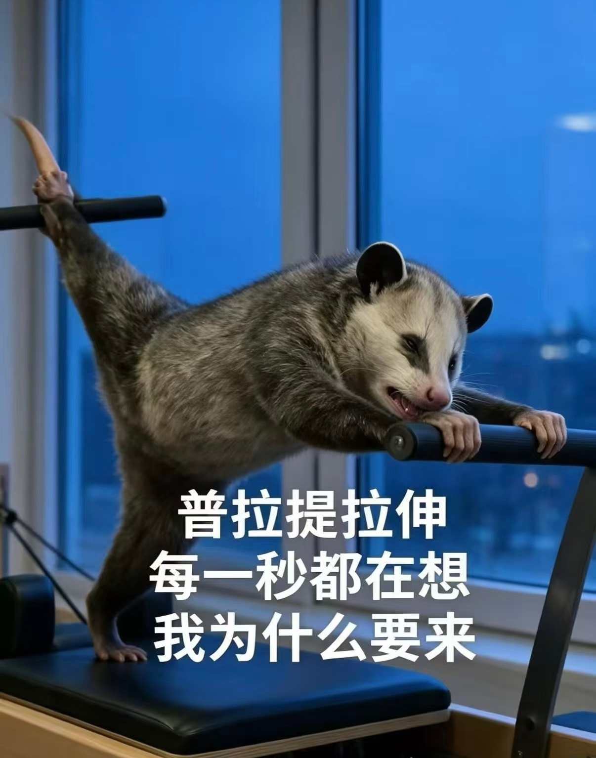 下午去练了许久未练的普拉提 ​​​