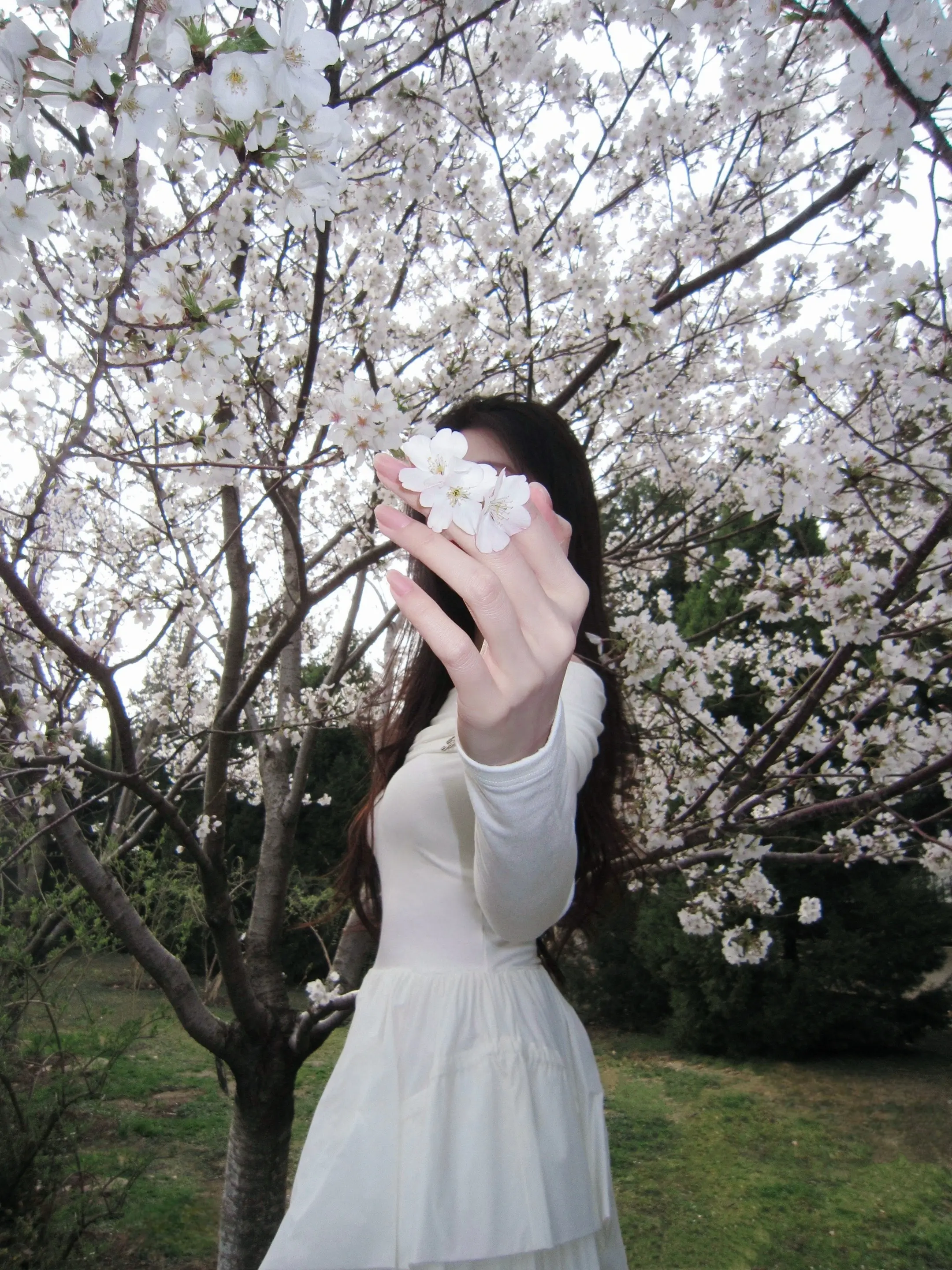 你记得花 花就不会枯萎🌸。