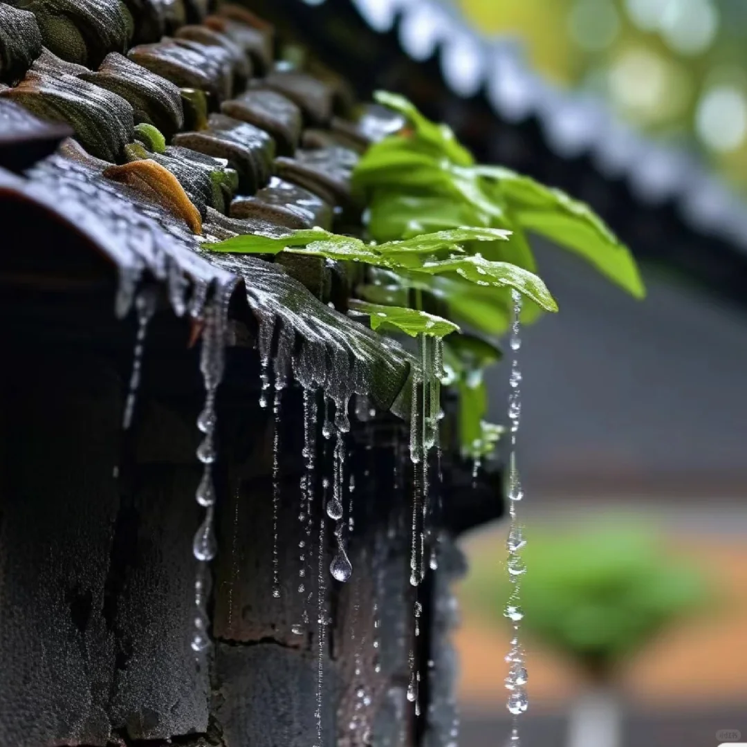 把自己当作自己的父母， 重新来爱自己一遍， 就像父亲一样教会自己勇敢...