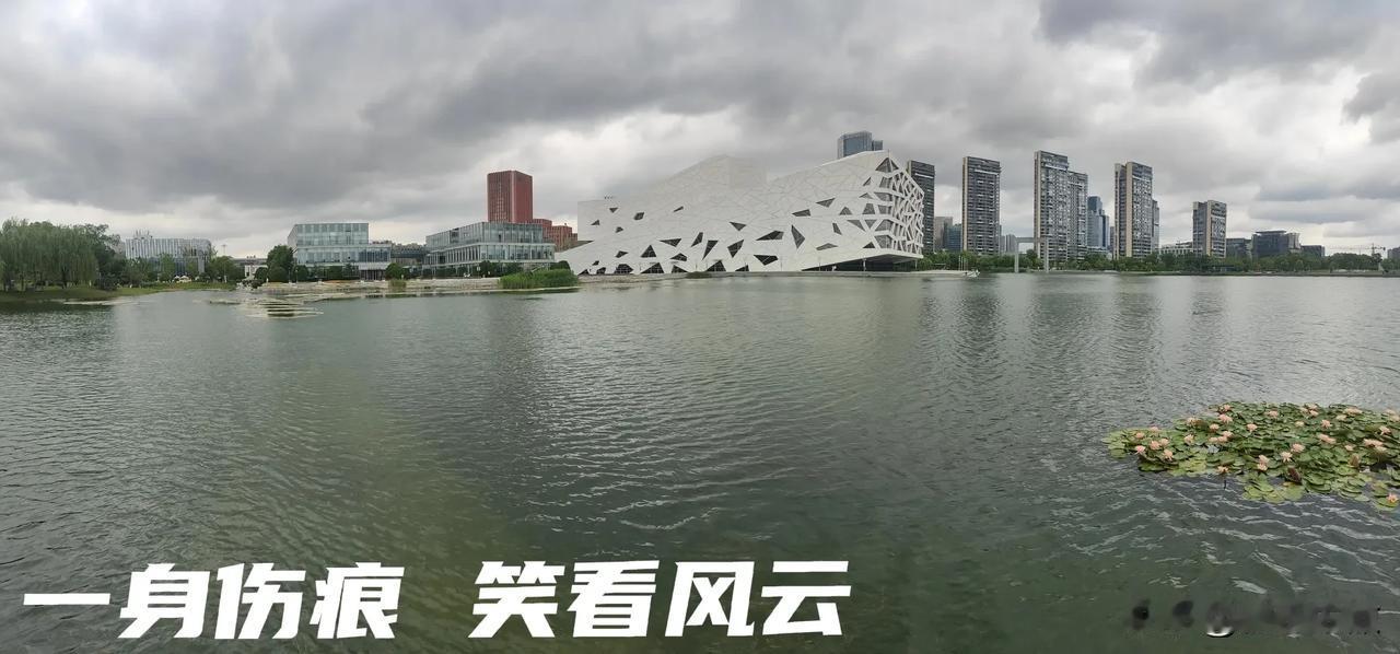 我愿意，化浮萍躺湖心，陪大A泛岁月的涟漪，也愿意，化流沙躺湖堤，和你恭候牛熊的轮