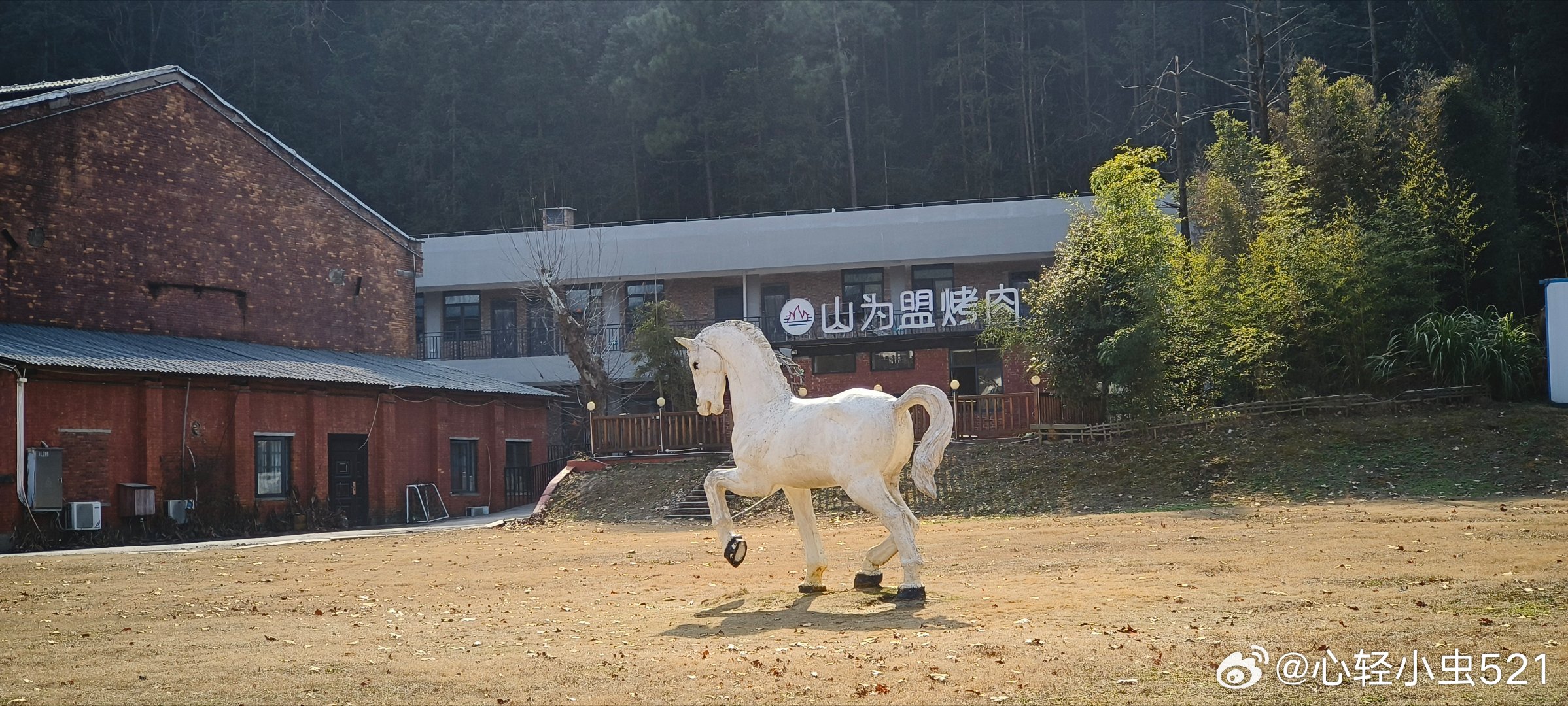 人到中年，最好的日子，不是惊艳，不是繁华，而是远离喧器。一半清醒做好自己，一半努