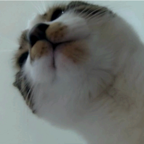 平安夜了谁送我安分守己🍎 