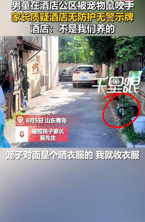 8月5日，入住青岛某酒店的游客易先生，去酒店一楼门外收晒着的衣服。三岁半的儿子独