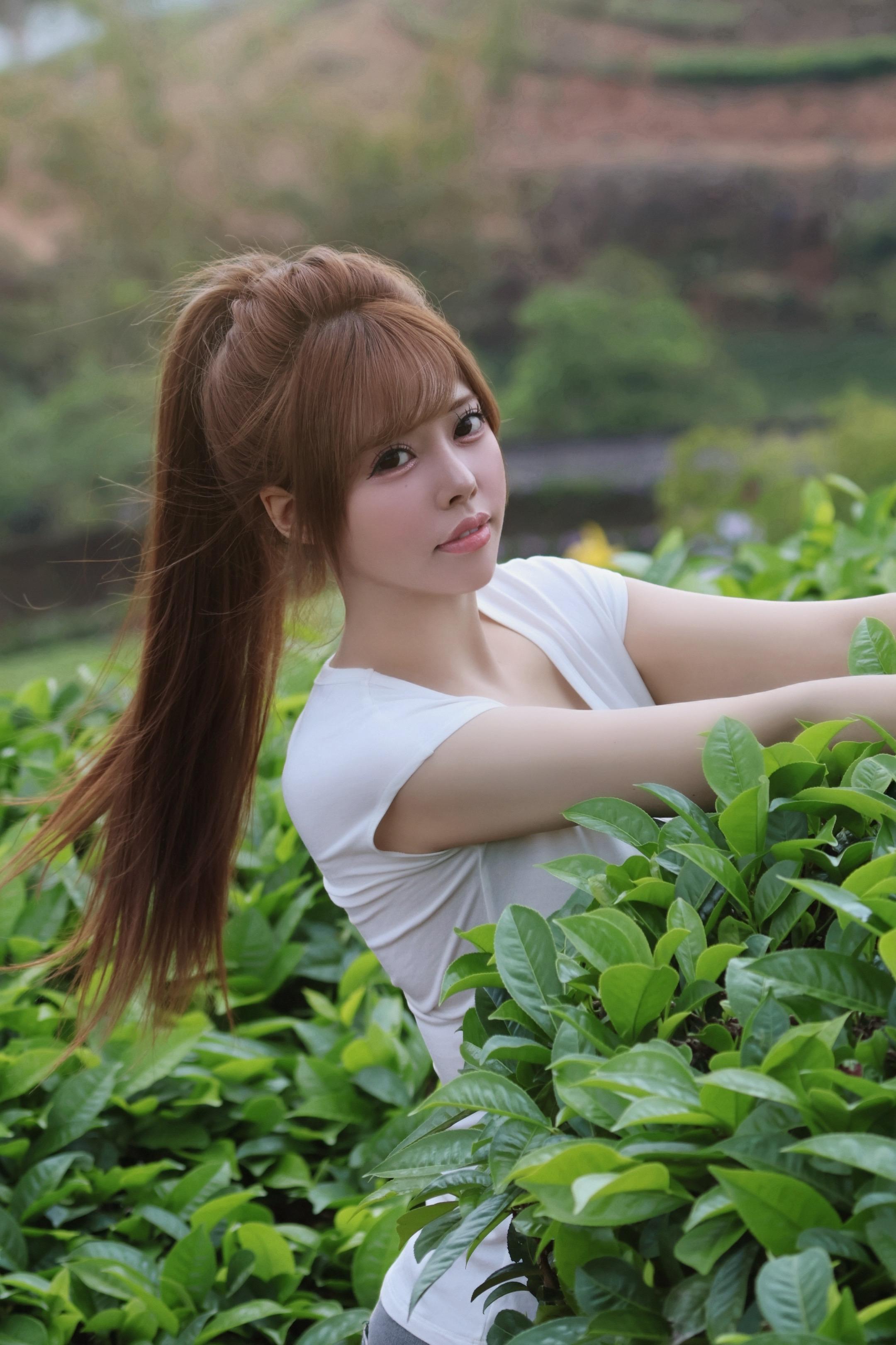 今天是采茶小妹