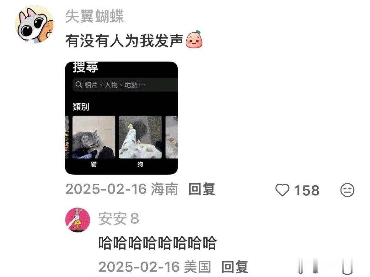 苹果相册乱起名字哈哈哈哈哈哈哈哈那很有艺术气息了 