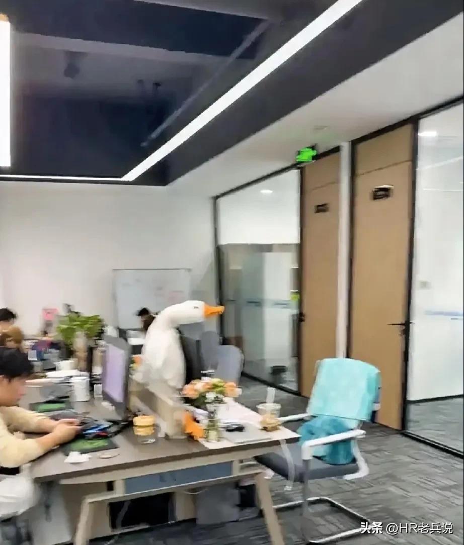 作为一个hr说个实在话，如果你绩效背C或者背D了，你就是部门那个边缘人物了；别信