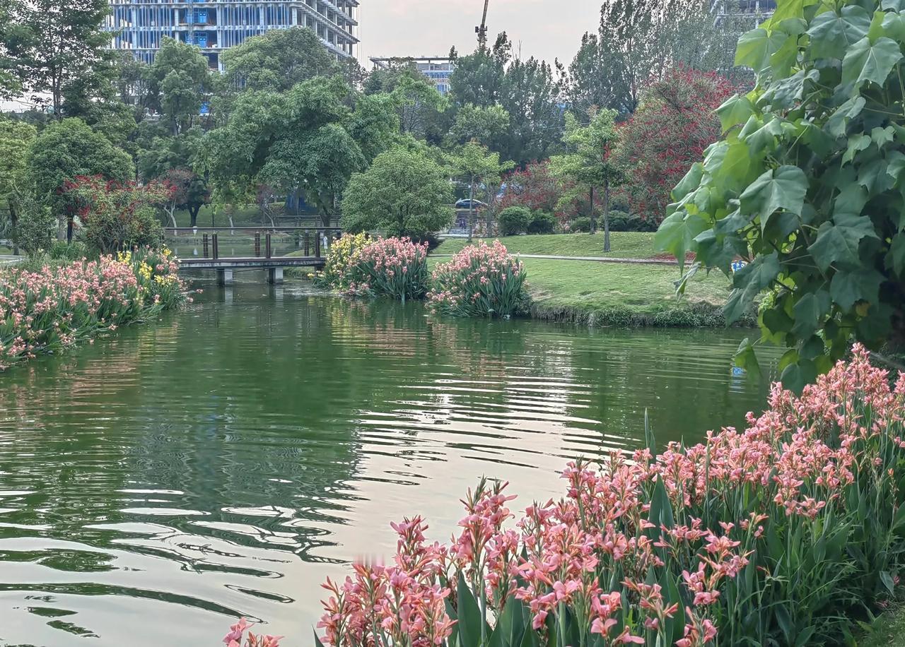 游春
八九已出头，江岸赏新柳，
终迎东风到，久盼出门游。
草青花盛开，周边围高楼