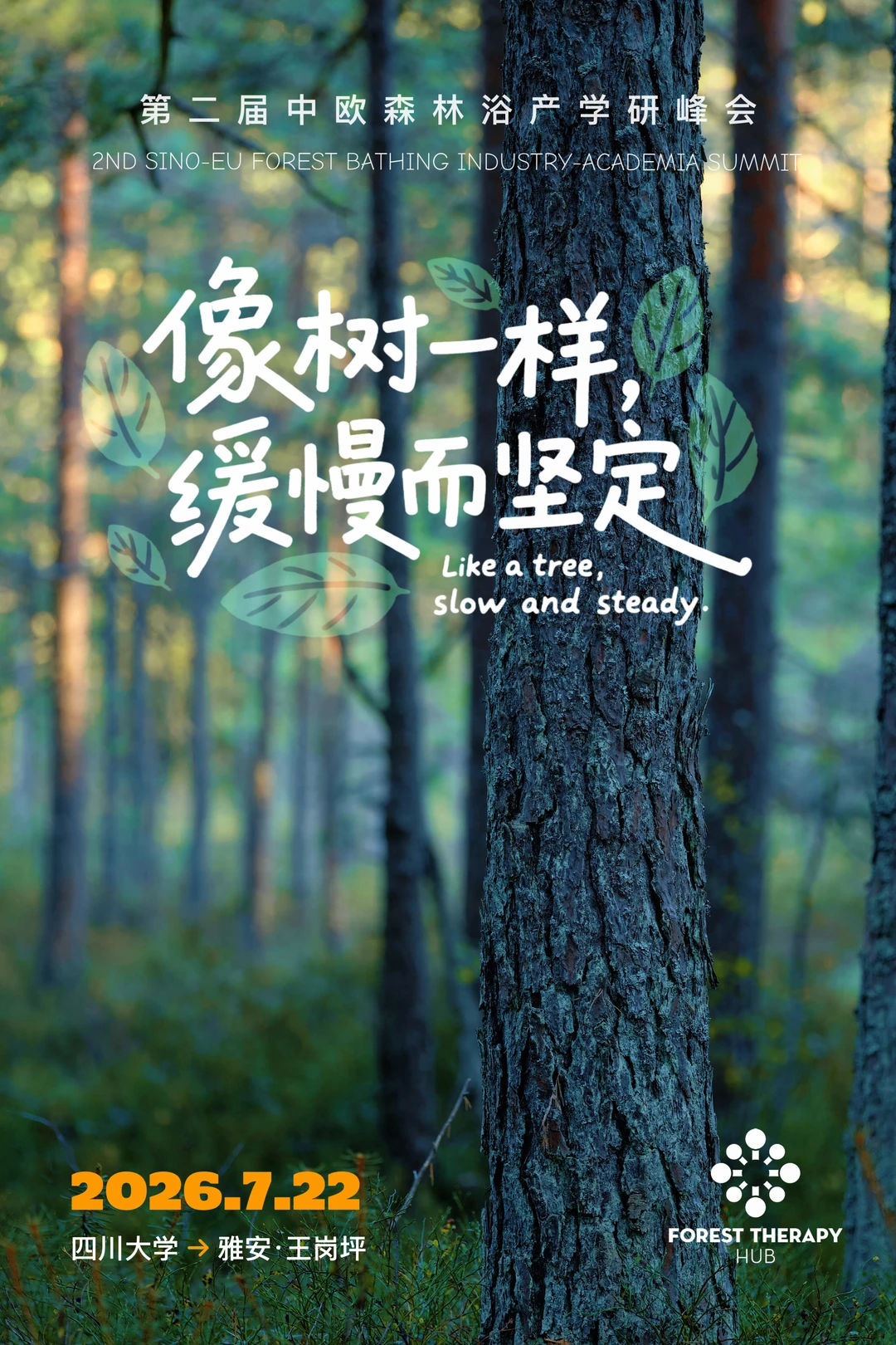 第二届中欧森林浴 ｜ 像树一样缓慢而坚定
