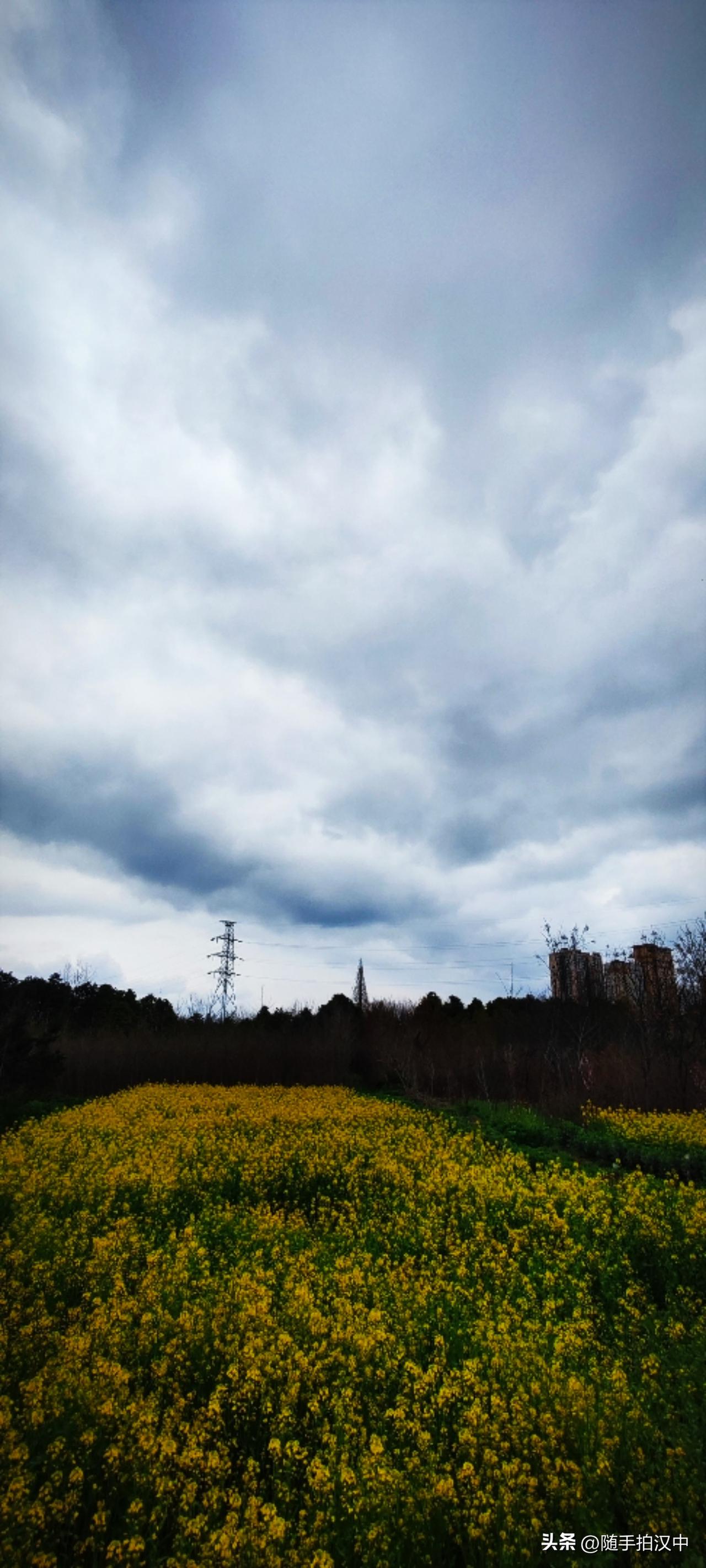 春日生活打卡季天上的云，地里的菜花黄，融合在画框中，你会发现：光学会了用最克制的