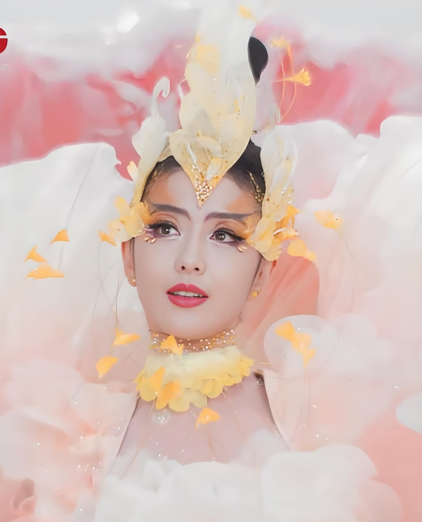 这妆造，不像牡丹，像鸟类。 