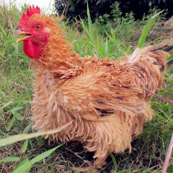 无解的悖论！
某个海峡允许我们的船通过，为啥油价还是涨呢？理论上不影响国内油价才