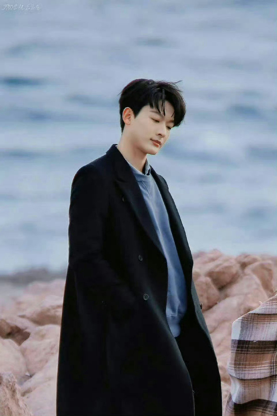 剧集但愿人长久 越来越期待晚意的新角色了 