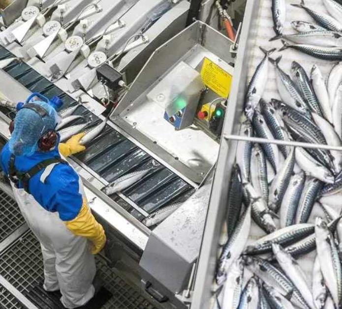 房贷 9% 也要拒绝欧盟？冰岛公投：一条鳕鱼，如何拦住一个国家加入欧盟？

冰岛