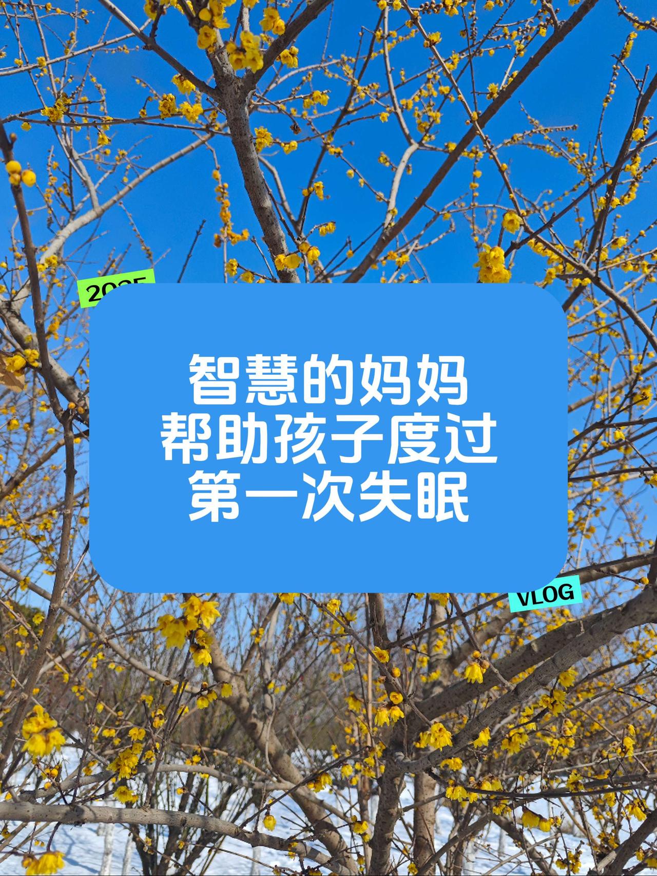 我儿子12岁上初一，昨天晚上第一次经历失眠体验：白天四点多他们期末考试就结束了，