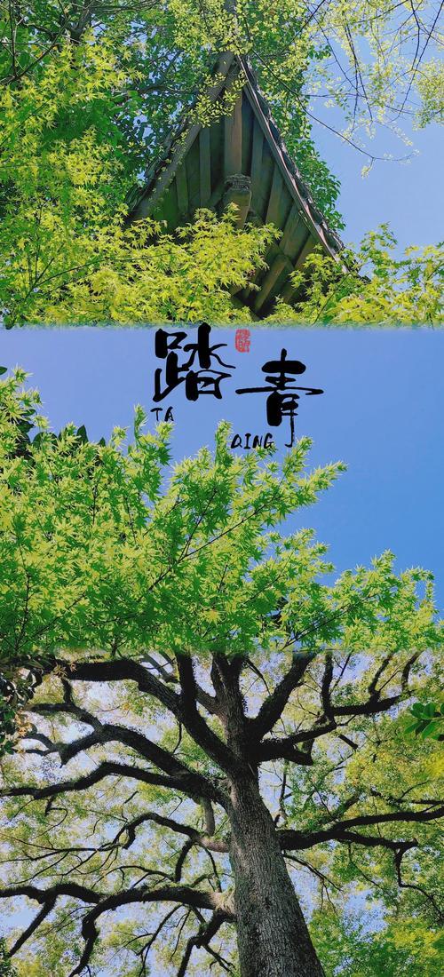 七绝踏青平水韵
雨霁云开物候新，
寻芳漫步过溪津。
桃红柳绿皆春色，
燕语莺啼醉