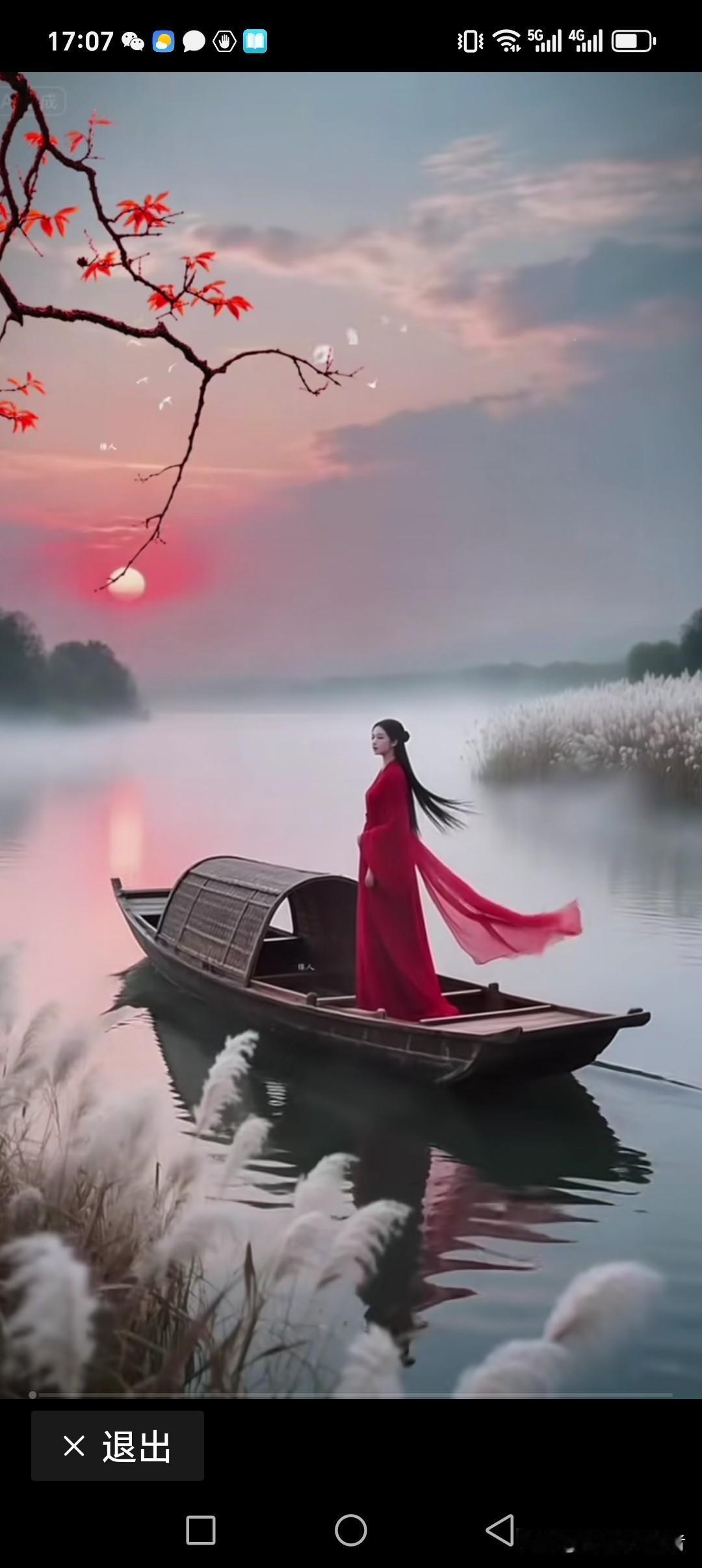 江晚图
落日衔山暮色深，
雾隐江波舟徐行。
沙飘红色随波远，
女若天仙日近头。