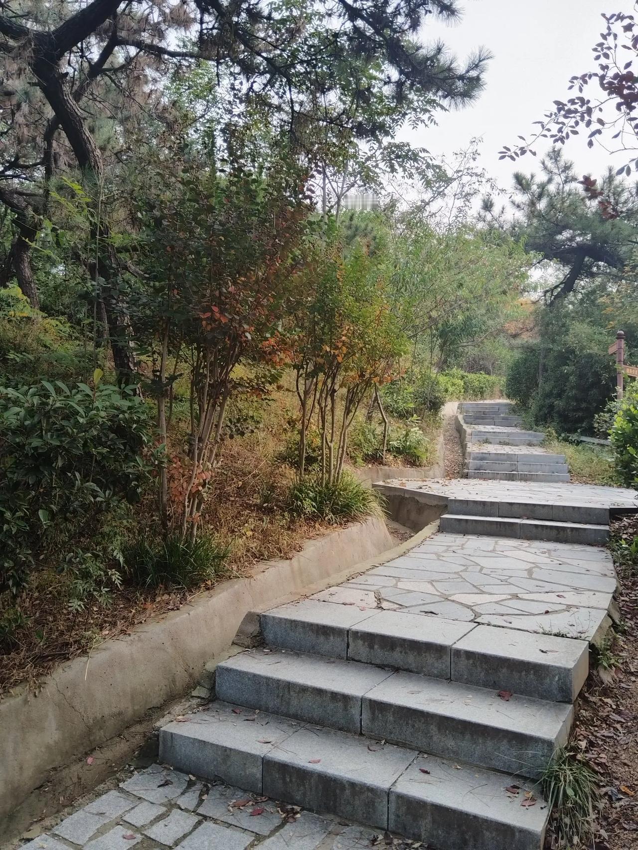今早起的早爬山起。青岛的市区里面有很多的山但不高，修建的也很美，适合退休的老人在