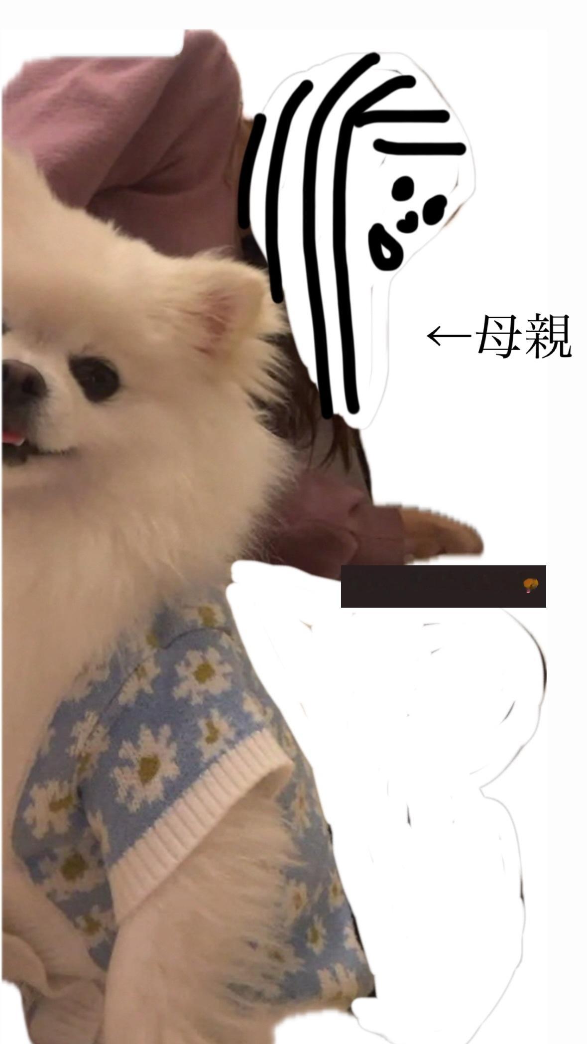 弓木奈於　ゆみきぐらむ