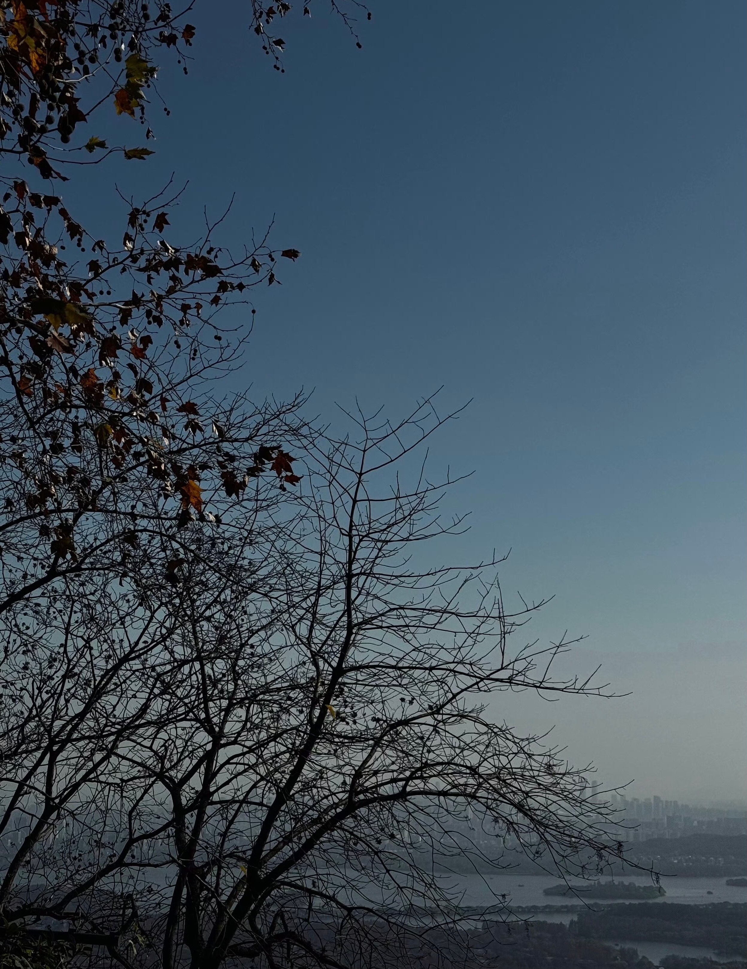 免费的就是最贵的，这话永不过时上周我有个来访，跟我聊聊情况之后，我大概给分析了一