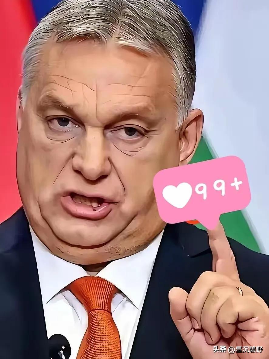 扎心了，匈牙利议会已经通过法案，决定冻结从乌克兰没收而来的4000万美元、350