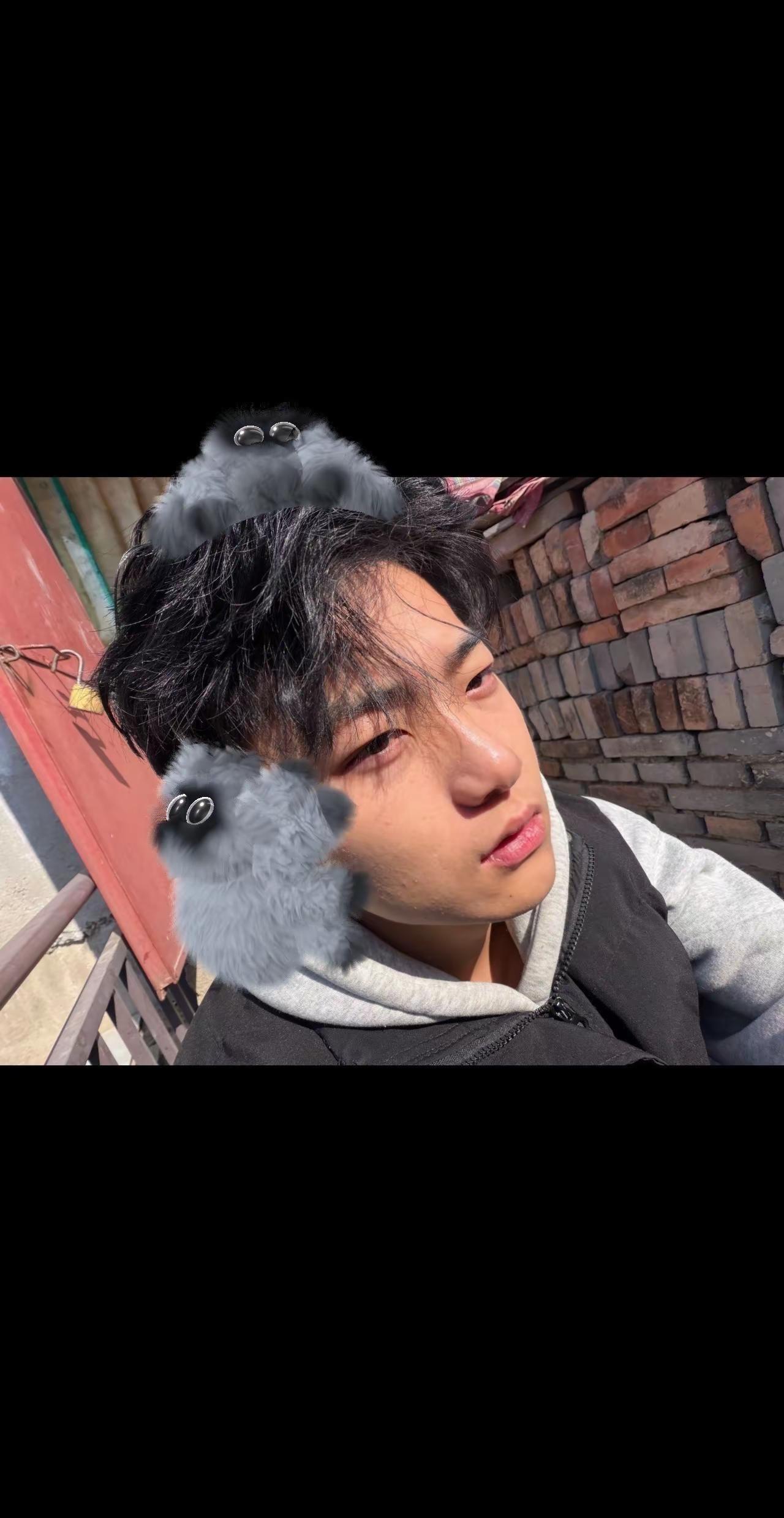 我想让我有温和的和的生活 我想让自己幸福 我无心博弈 我只想安安稳稳 平平淡淡的