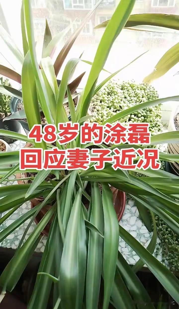 根本挡不住啊!阿苏埃凌空侧勾破门，上演帽子戏法，半场轻松3射1传帮忙申花4比1海