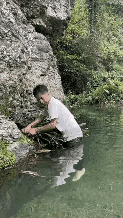 如果是清除杂草可以连根拔净，如果另有所用，总要留下点！