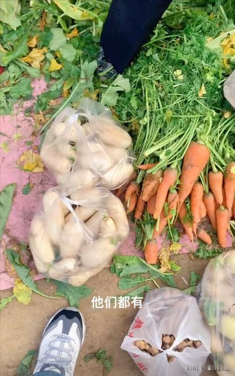 [胡瓜]太实诚了！山东一小伙好心买走大妈60斤萝卜，大妈为表示感谢赠送“祖传腌萝