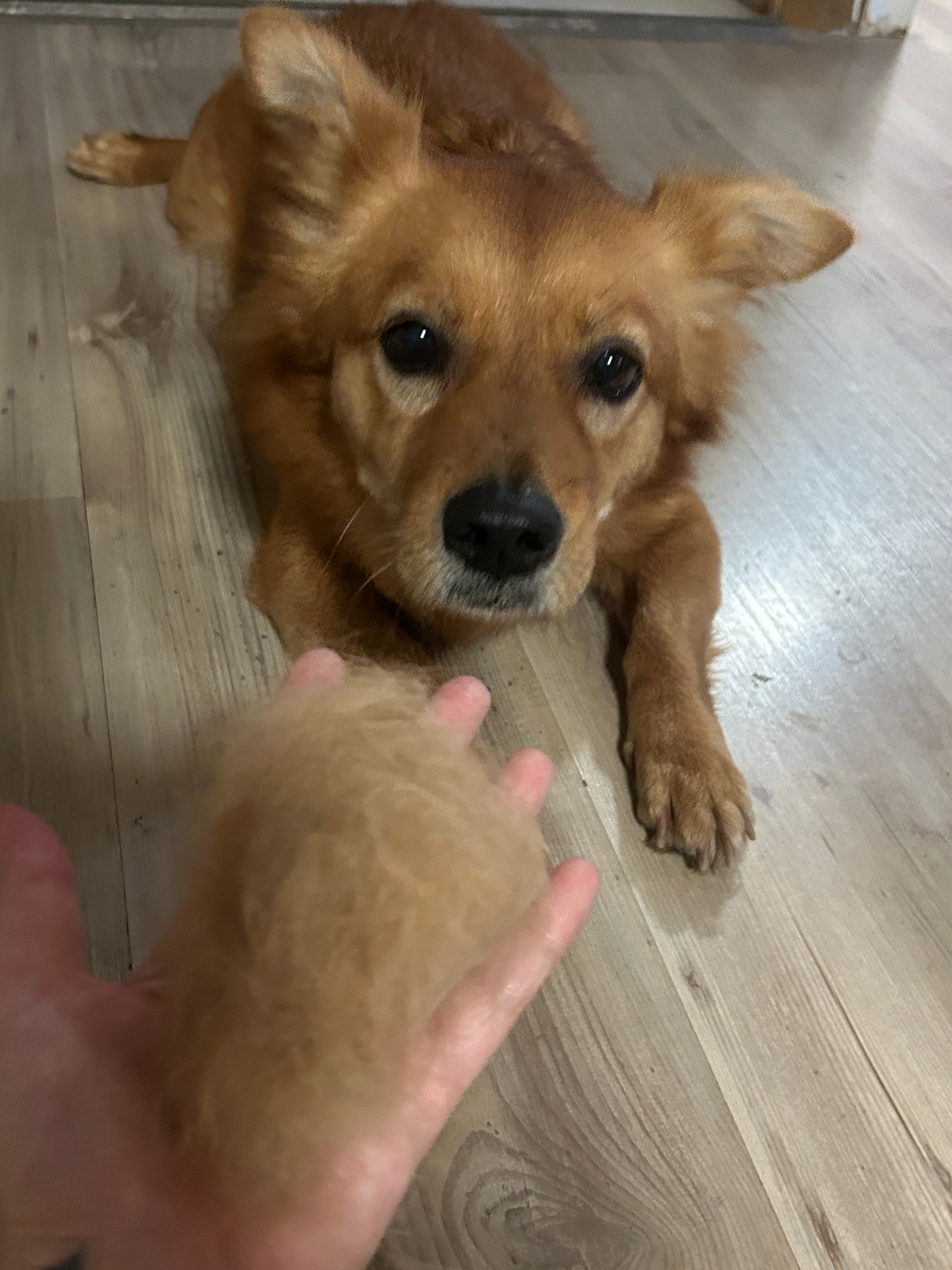 认识你自己 