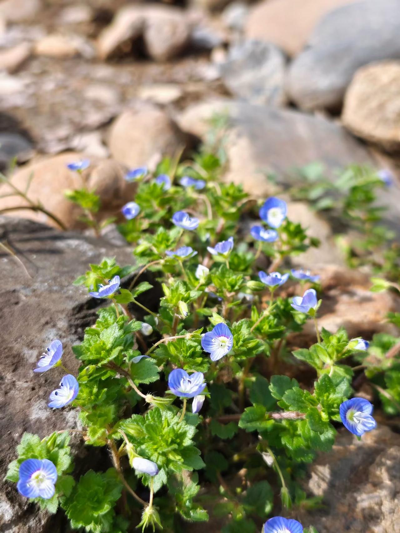 2026年日子真难过
2026年退休的日子真真难过
我就是这其中一个
1500的