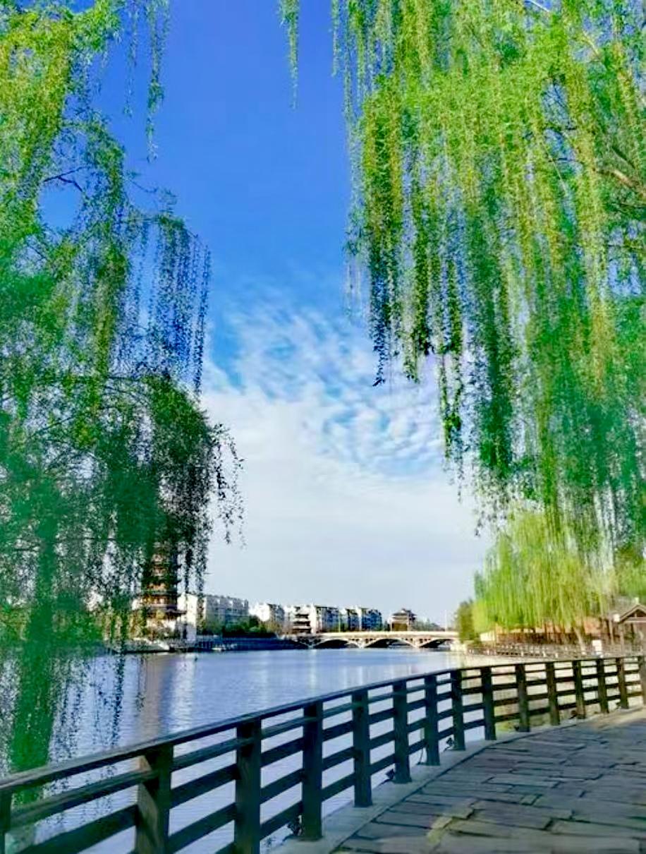人在夏里，最易懂光阴的质地——它不是刻板的刻度，是蝉翼振翅的微响，是流萤划过的弧