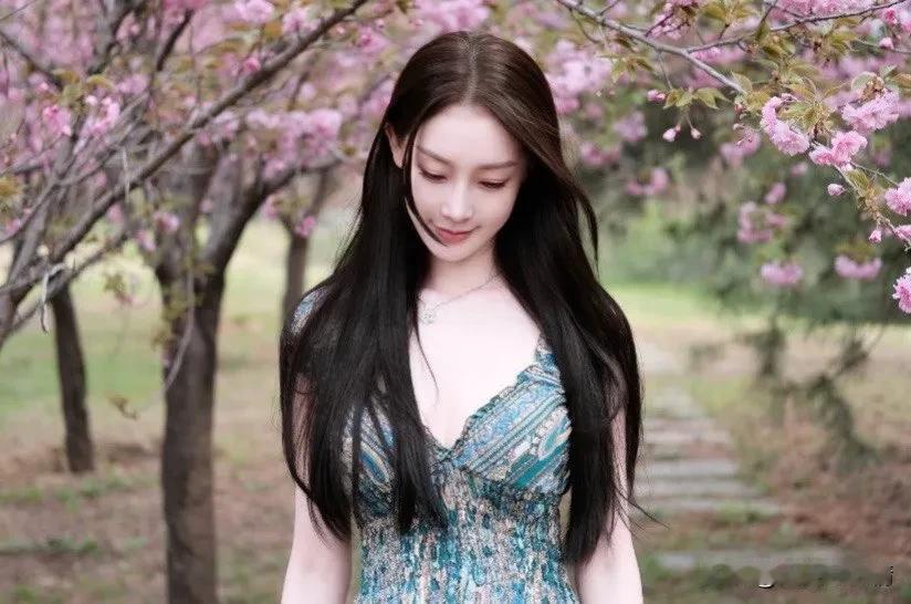 美女收集