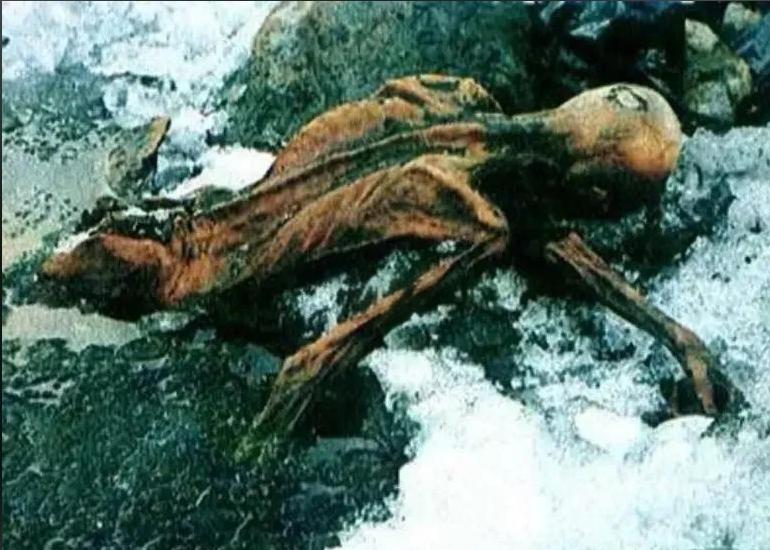 冰封 5300 年的史前谋杀案，案发地点，阿尔卑斯山海拔3200米的冰川。没有目