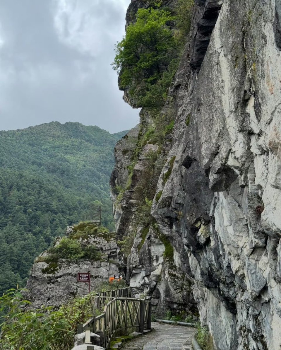男子在大理苍山疑自缢身亡玉带林中挂，金簪雪里埋。突然想起这一句