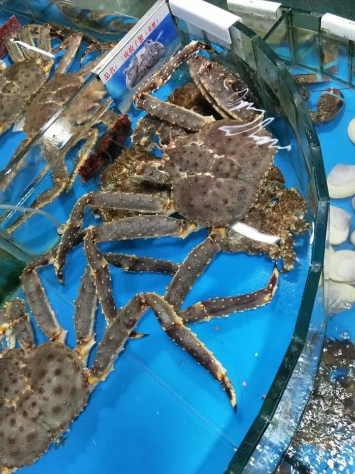 过年前帝王蟹价格迎来猛降  一个喜欢吃帝王蟹的小女孩，此时此刻开心到了极点，因为