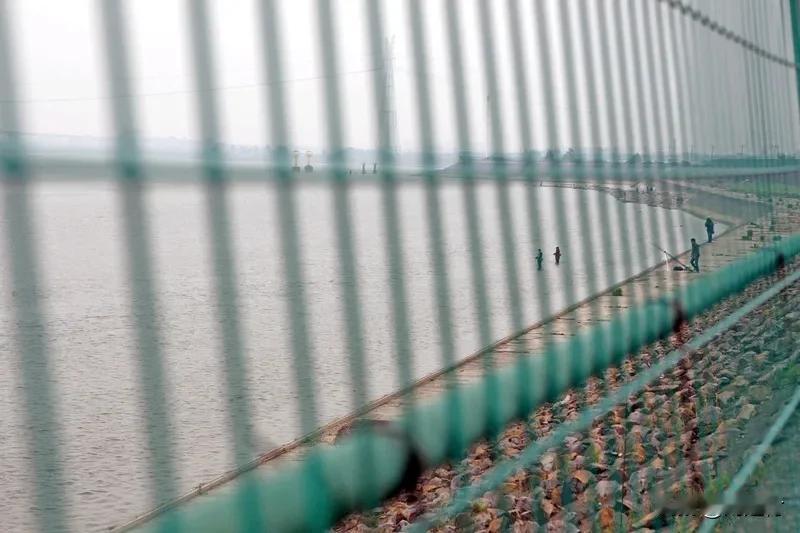 大二女生回家途中失踪8年 大二女生回家途中失踪8年，此事着实令人揪心。8年时光，