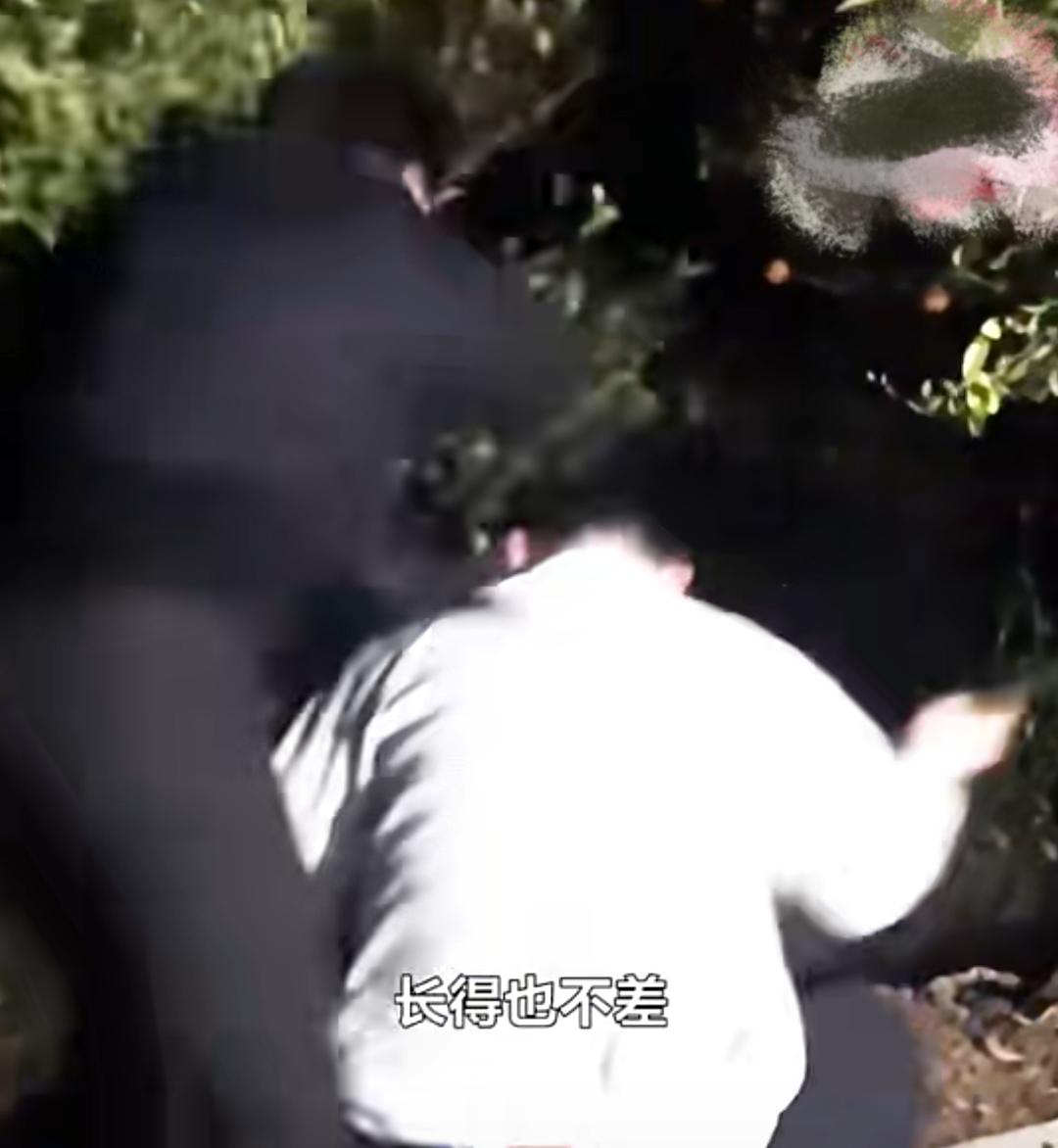 奇葩！大龄剩男被催婚，墙上贴符纸，门口橘子树也跟着遭殃！当事人：“2026年打死