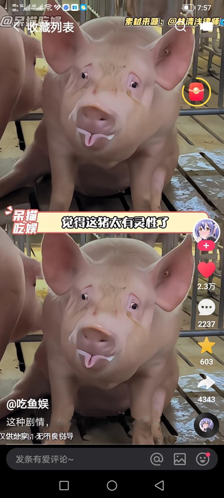 如果你们想见识非常颠的事情，那就去律师连麦直播间，那真的是能刷新你的三观。一男子