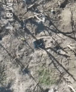 大丈夫能屈能伸。1名疑似俄军外籍雇佣兵在面对乌军无人机轰炸时，毅然“释放善意”，