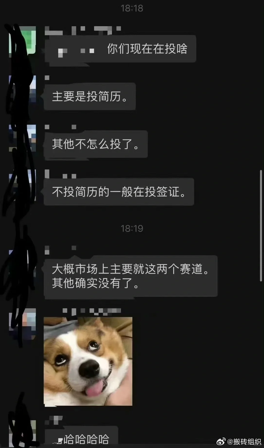 新的跟投方向🐶投简历 投签证