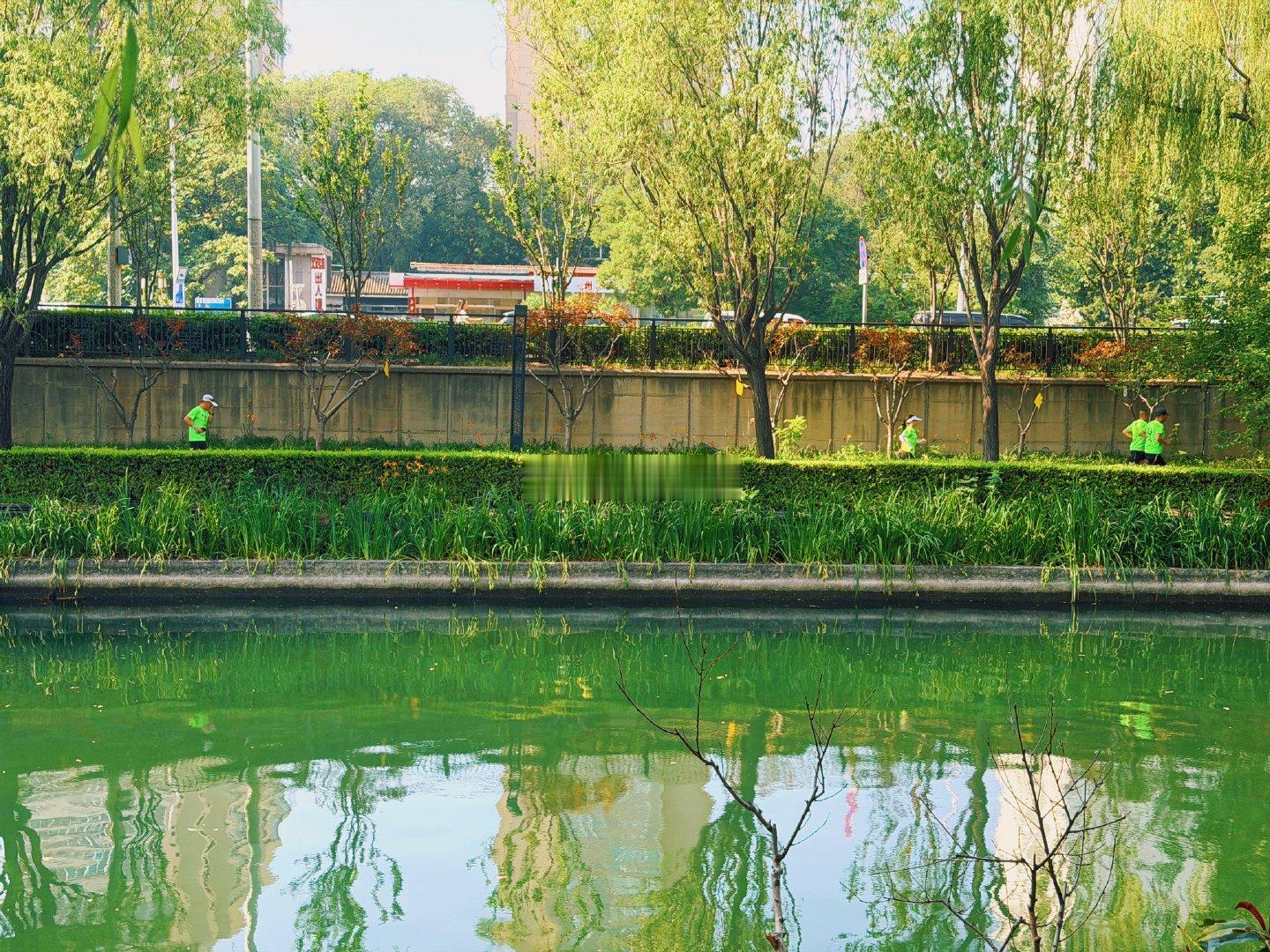 北京北二环护城河柳树成荫，绿意盎然，清凉宝地  摄影
