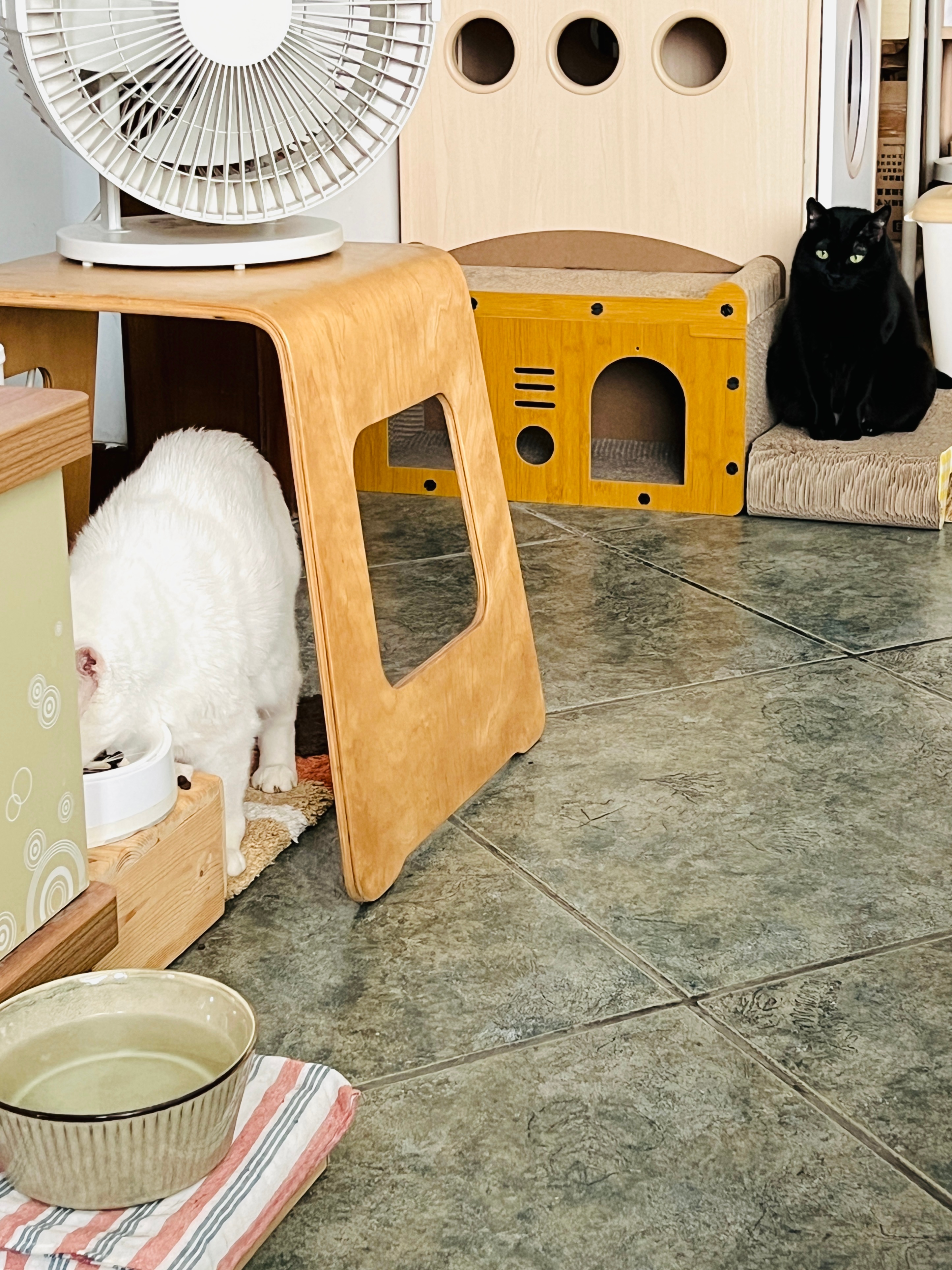 蝦：臭哥不要再吃了，不然會跟我一樣胖！ 