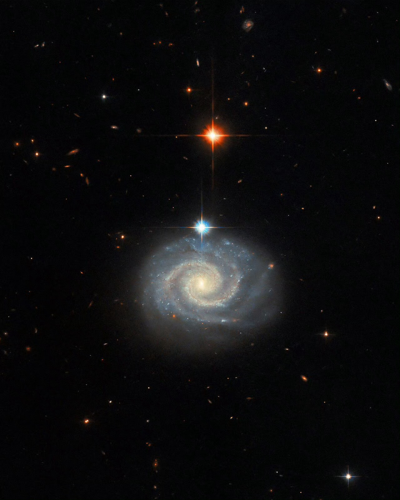#每天一天文图# 这张旋转图像展示了一个明亮的螺旋星系，称为 MCG-01-24