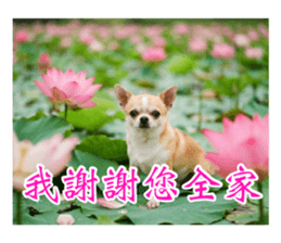 🫶🏻 