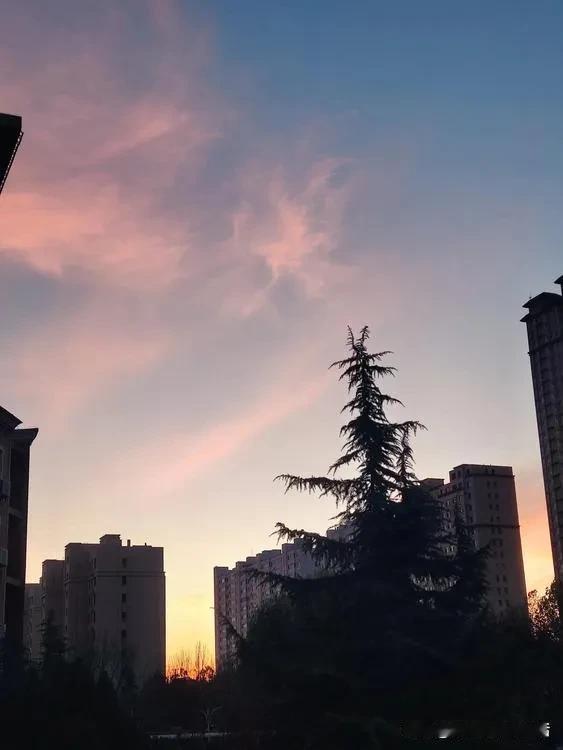 晨，漫天的玫瑰色，是不是天空也懂浪漫。