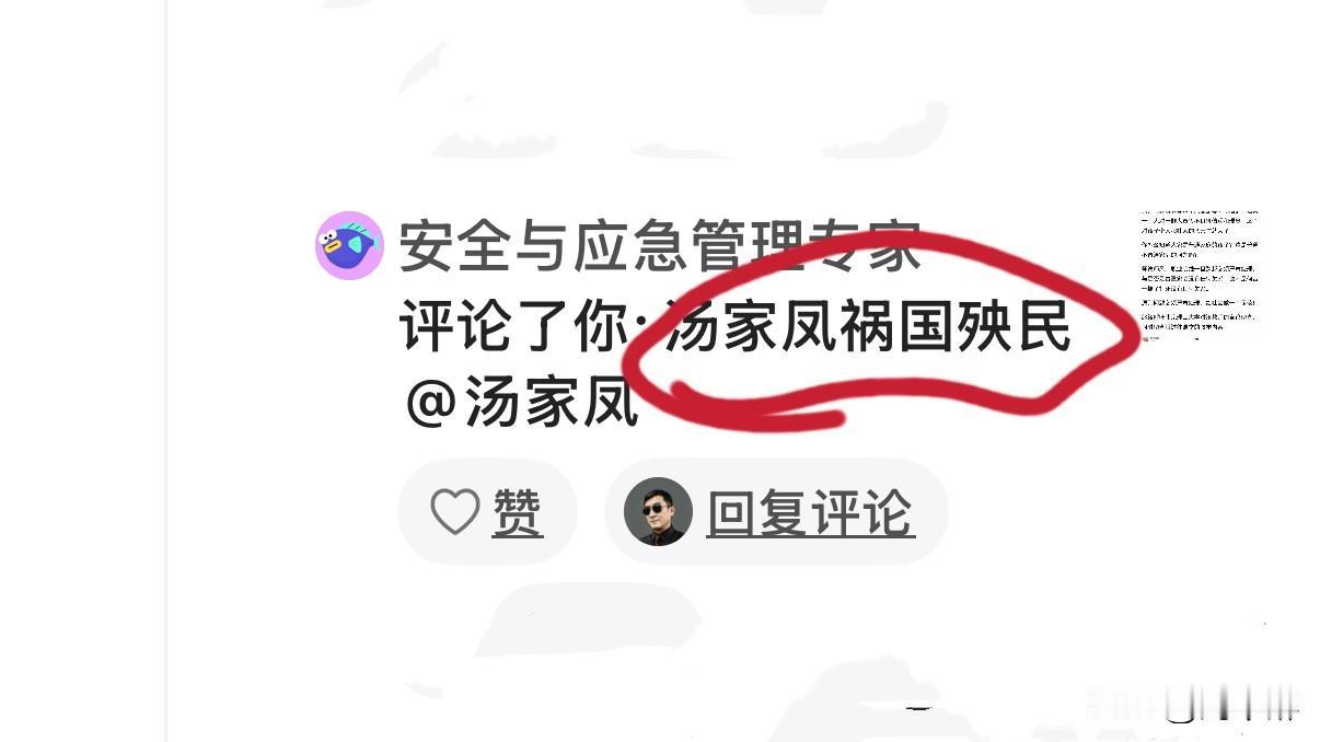 别把汤家凤捧得这么高，
他没有这个本事祸国殃民！
“祸国殃民”是分量极重的严苛定
