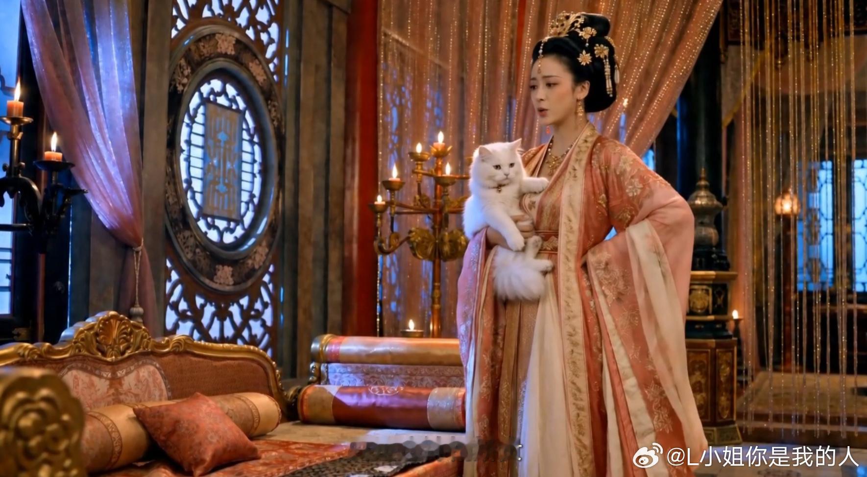 女儿国国王养猫后唐僧都送什么了 唐僧可以啊，送礼这块突然开窍了，把女儿国国王那点